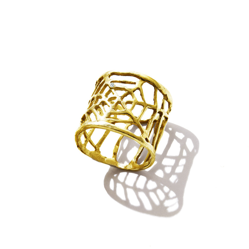 Spider Web Ring