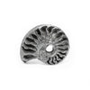 Ammonite Spiral Ring
