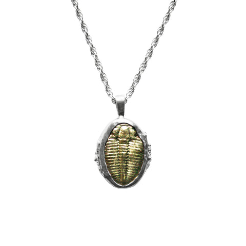 Trilobite Pendant Necklace