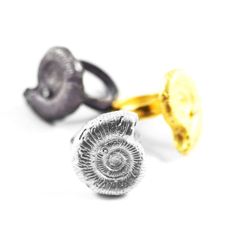 Front Ammonite Ring