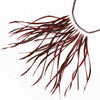 Brown Feather Necklace by Ayaka Nishi