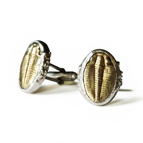 Trilobite Cuff Links